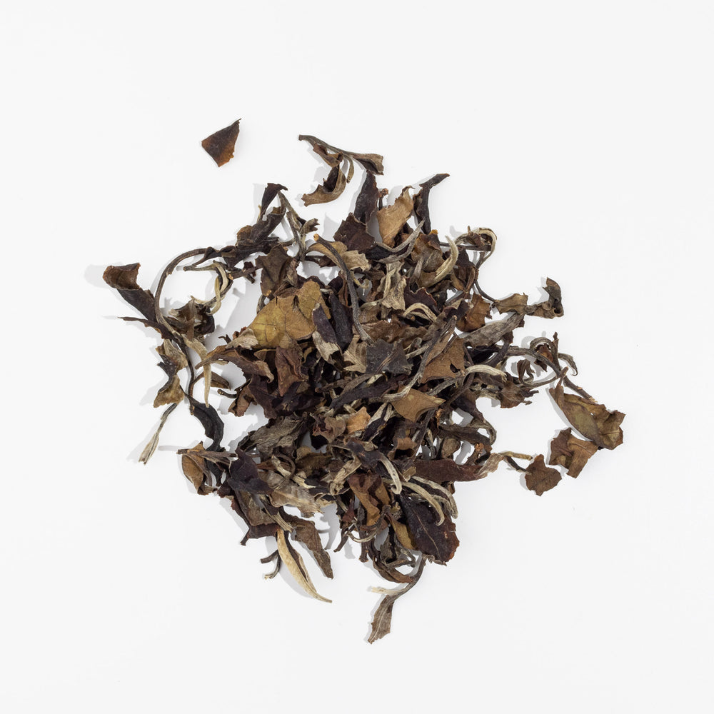 Morning Chorus Loose Tea